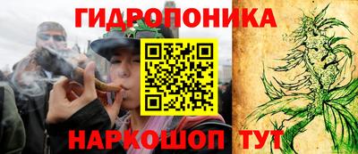 ГАЛЛЮЦИНОГЕННЫЕ ГРИБЫ Беслан