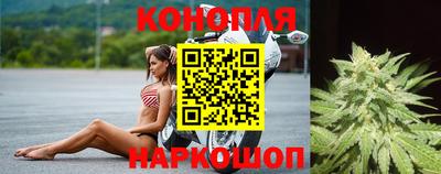 ГАЛЛЮЦИНОГЕННЫЕ ГРИБЫ Беслан