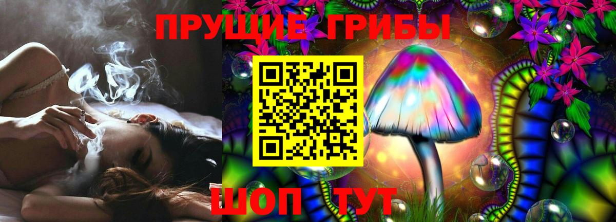 Гудермес  Псилоцибиновые грибы Psilocybe  Вход с VPN 