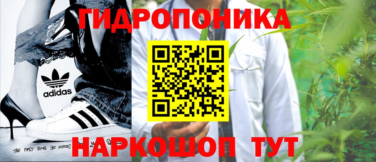 МАРИХУАНА Bruce Banner  МАРИХУАНА ГИДРОПОН  Гудермес  Конопля индика  Вход с VPN 